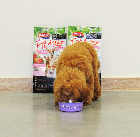 FitActive ToyDogs Lamb & Fish with Apple & Rice kutyatáp mini és kistetű fajtáknak