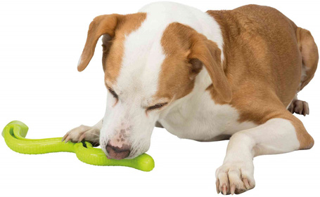 Trixie kígyó formáju jutalomfalat adagoló