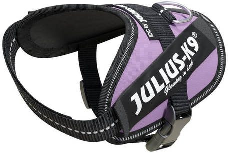 Julius-K9 IDC lila powerhám kutyáknak