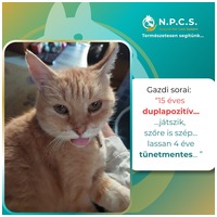 Burgimmune immunerősítő por #10