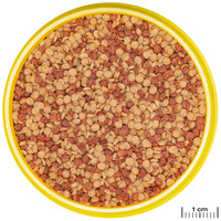 JBL ProNovo Color Grano színfokozó granulátum (Click) #2