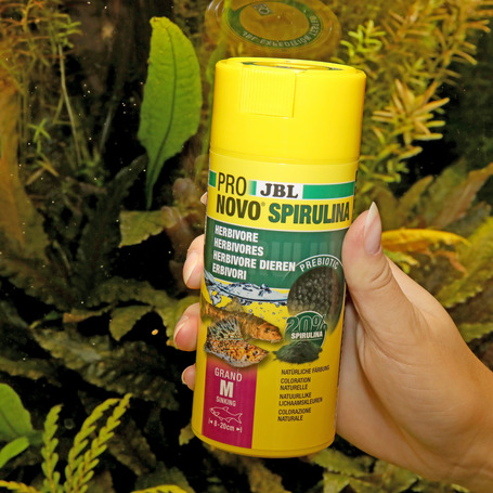 JBL ProNovo Spirulina Grano "M" Click