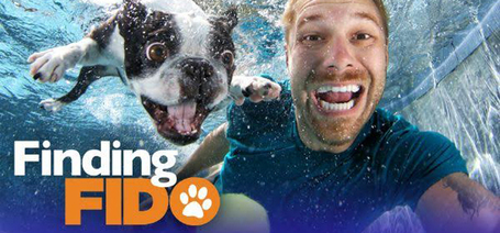 Kíváncsi vagy, milyen az ideális kutya-gazdi páros és az élethosszig tartó örökbefogadás?