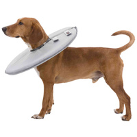 Szivacsos védőgallér kutyáknak #2