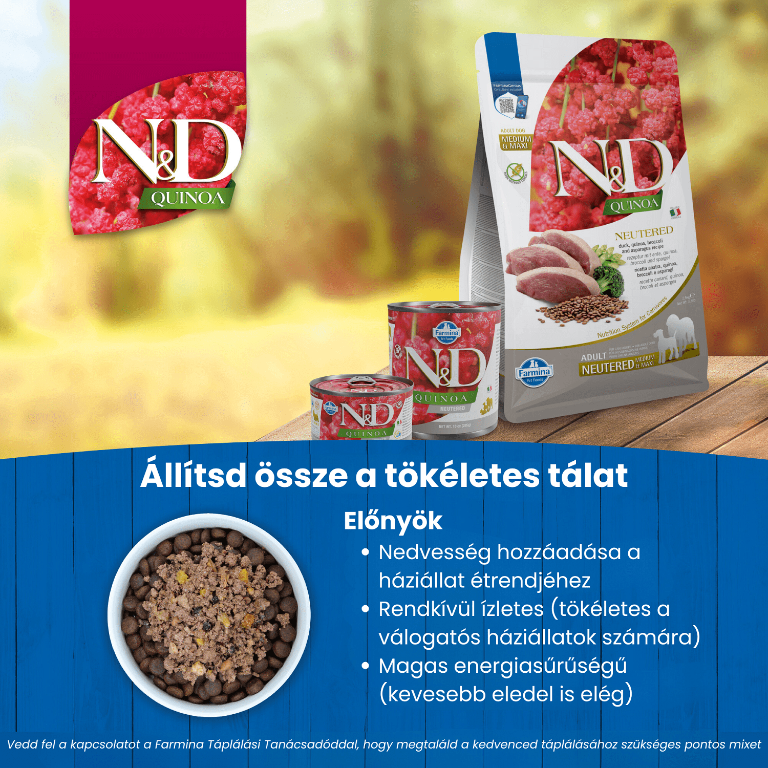N&D Dog Quinoa Neutered Adult Mini kacsa, brokkoli és spárga