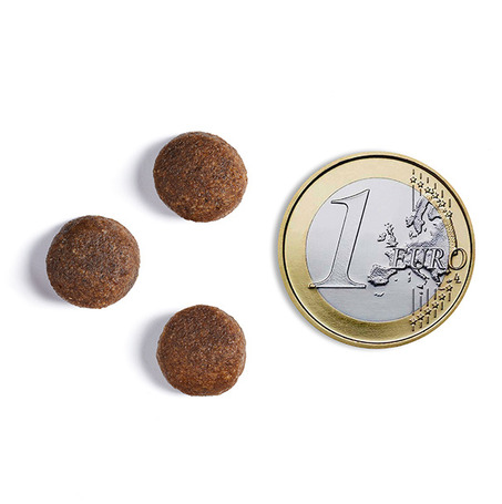 Ambrosia Dog Grain Free Senior, Light & Sterilized