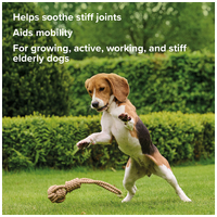 Beaphar Flexifit rágótabletta kutyáknak #9