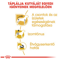 Royal Canin Dachshund Adult - Tacskó felnőtt kutya nedves táp #4