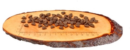 CarniLove Cat Adult Energy & Outdoor rénszarvashússal | Száraztáp kinti macskáknak