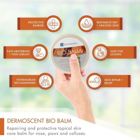 Dermoscent Bio Balm orr- és mancsápoló balzsam kutyáknak