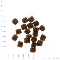 Primum Adult Soft Ente mit Kartoffel #7