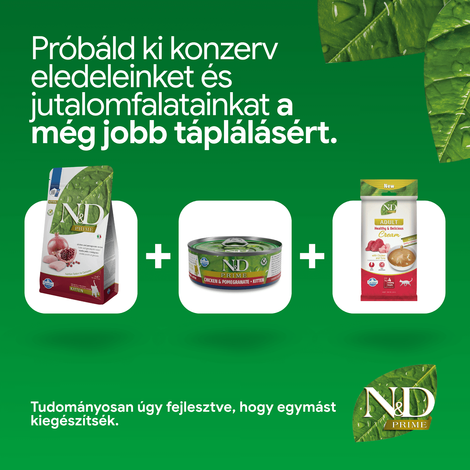 N&D Cat Prime Kitten Chicken & Pomegranate Grain Free | Gabonamentes kölyökmacska eledel