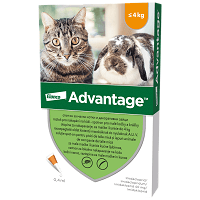 Advantage 40 antiparazitar pt pisici și iepuri (sub 4 kg)