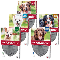 Advantix Spot On pentru câini