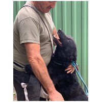 Ábel, 4 éves, 55 cm magas, kan #11