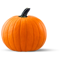 N&D Cat Venison & Pumpkin - Szarvashúsos és sütőtökös konzerv macskáknak #3