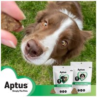 Aptus Apto-Flex Chew glükozamint, MSM-et és kondroitin-t tartalmazó rágótabletta #2