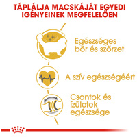 Royal Canin Ragdoll Adult - Ragdoll felnőtt macska száraz táp #4