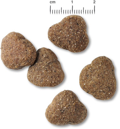 Belcando Junior Lamb & Rice | Bárányhúsos táp normál testméretű növendék kutyáknak