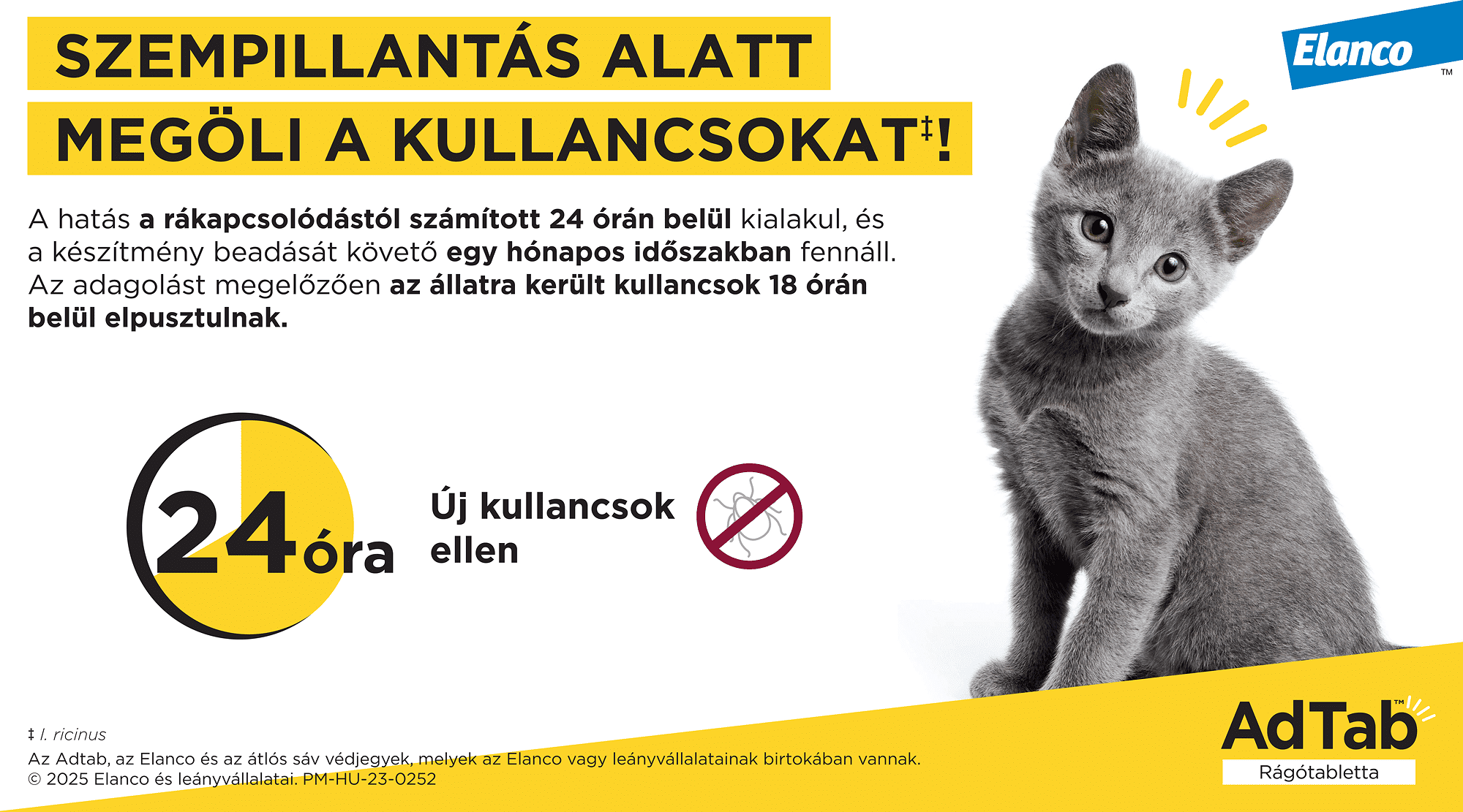 AdTab macskáknak: gyors hatás kullancsok ellen