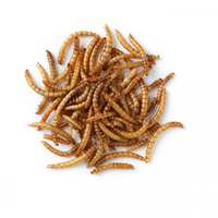 Panzi fehérjedús szárított lisztkukac #2