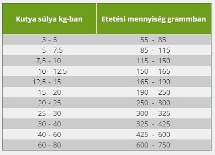 Platinum Adult Iberico + Greens hrană uscată câini - zoom