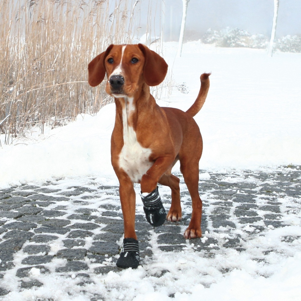 Trixie Walker Active Protective Boots kutyacipő