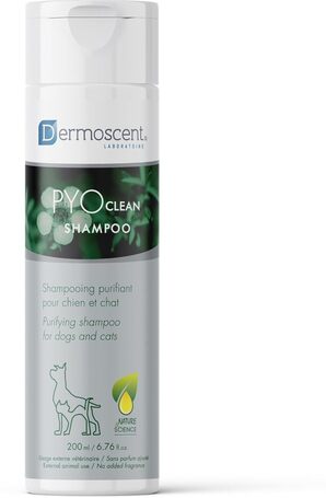 Dermoscent PYOclean Shampoo kutyáknak és macskáknak