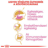 Royal Canin Maine Coon Kitten - Maine Coon kölyök macska száraz táp #4