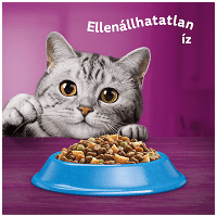 Whiskas tonhalas szárazeledel #3