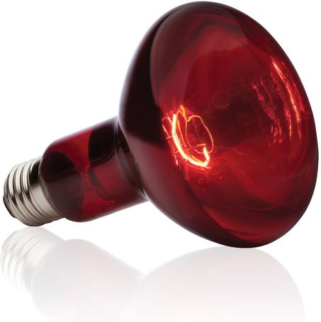 Exo Terra Infrared Basking Spot infravörös melegítőlámpa terráriumba