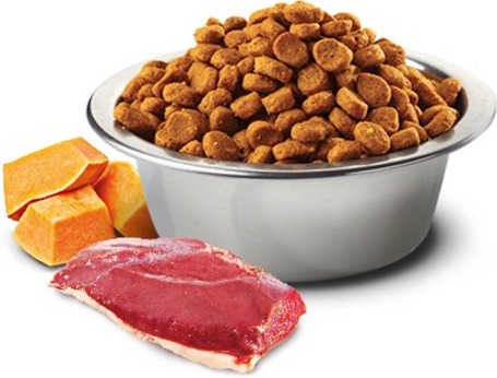 N&D Pumpkin Cat Grain Free kacsahússal, sütőtökkel és sárgadinnyével | Szuperprémium macskatáp