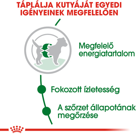 Royal Canin Mini Adult - Kistestű felnőtt kutya száraz táp