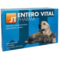 JT Entero Vital tabletta