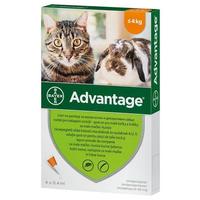 Advantage 40 spot on törpenyúlnak, kistestű macskának #2