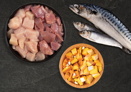 Acana Grasslands Cat & Kitten gabonamentes macskaeledel