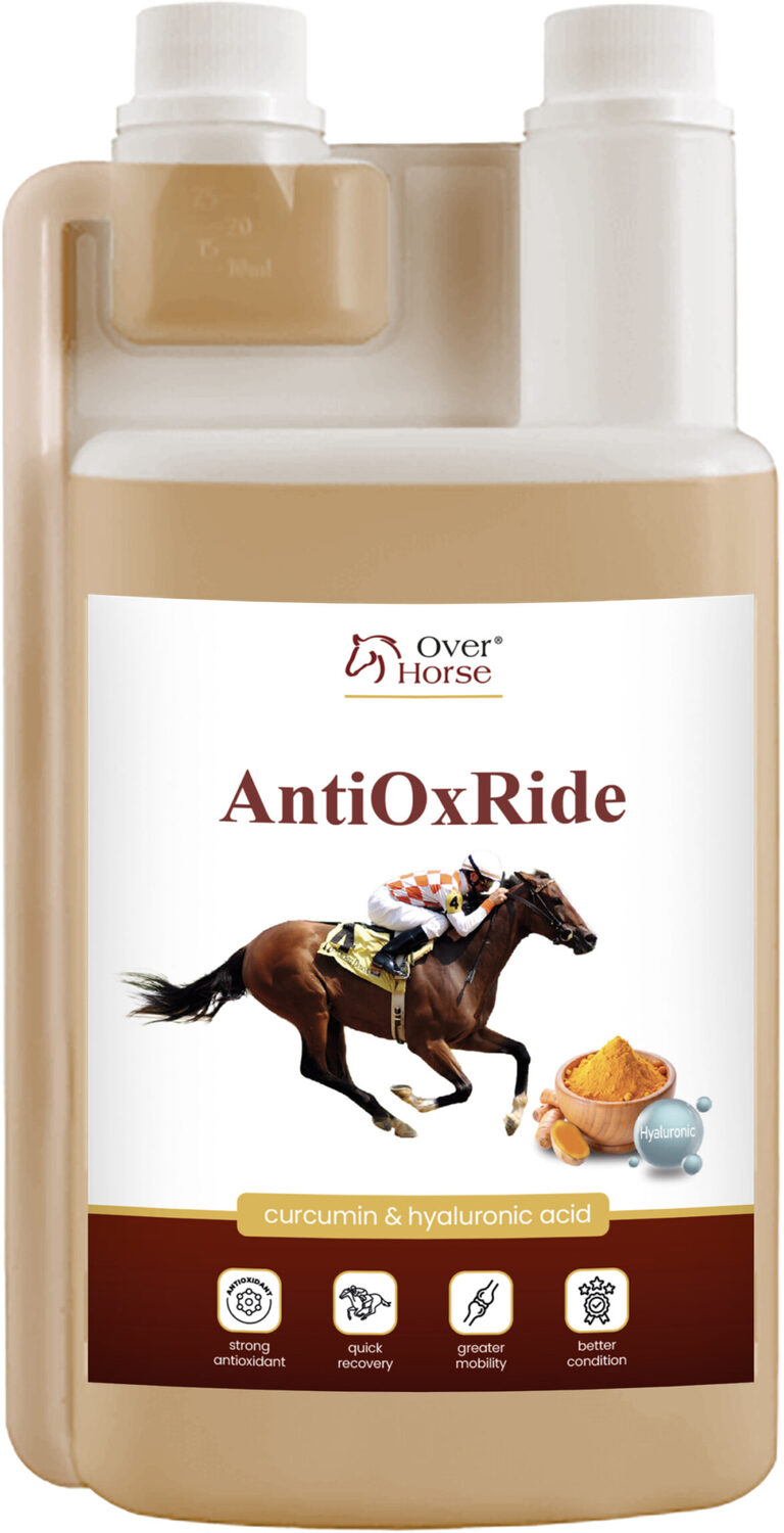 Over Horse AntiOxRide