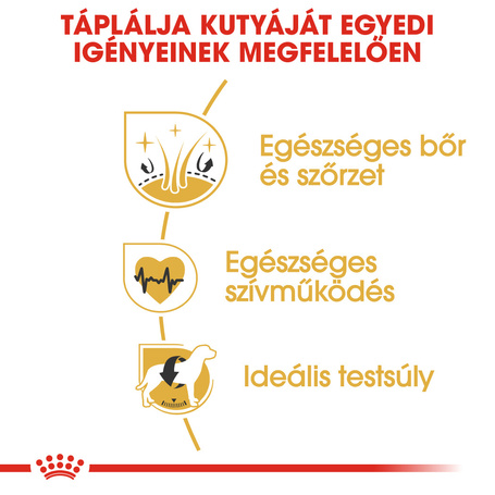 Royal Canin Golden Retriver Adult - Golden Retriever felnőtt kutya száraz táp