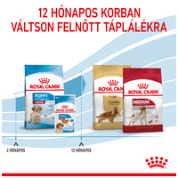Royal Canin Medium Puppy - Közepes testű kölyök kutya száraz táp #6