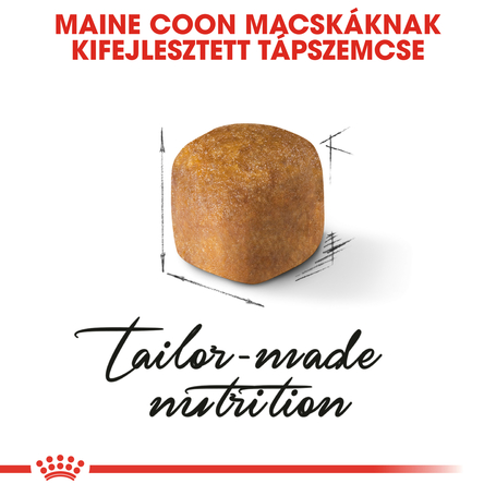 Royal Canin Maine Coon Kitten - Maine Coon kölyök macska száraz táp