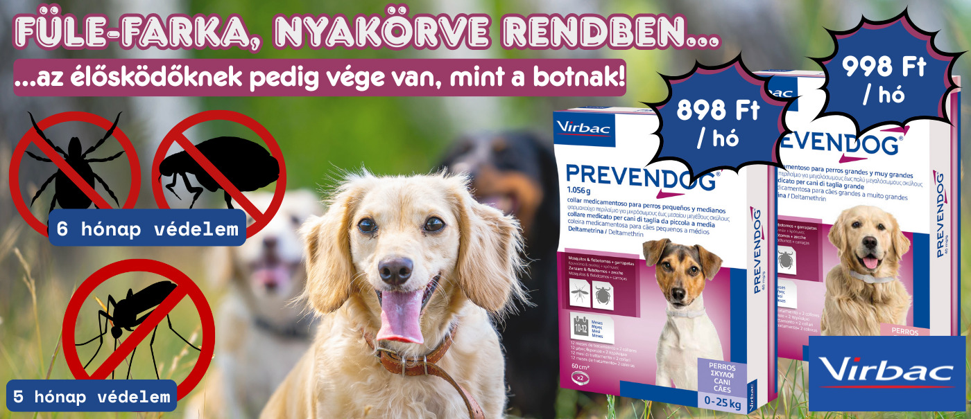 Szúnyog, kullancs, bolha? Nem ma!🙅🏻♀️ 6 hónap nyugi – egyetlen nyakörvvel Szúnyog, kullancs, bolha? Nem ma!🙅🏻♀️ 6 hónap nyugi – egyetlen nyakörvvel