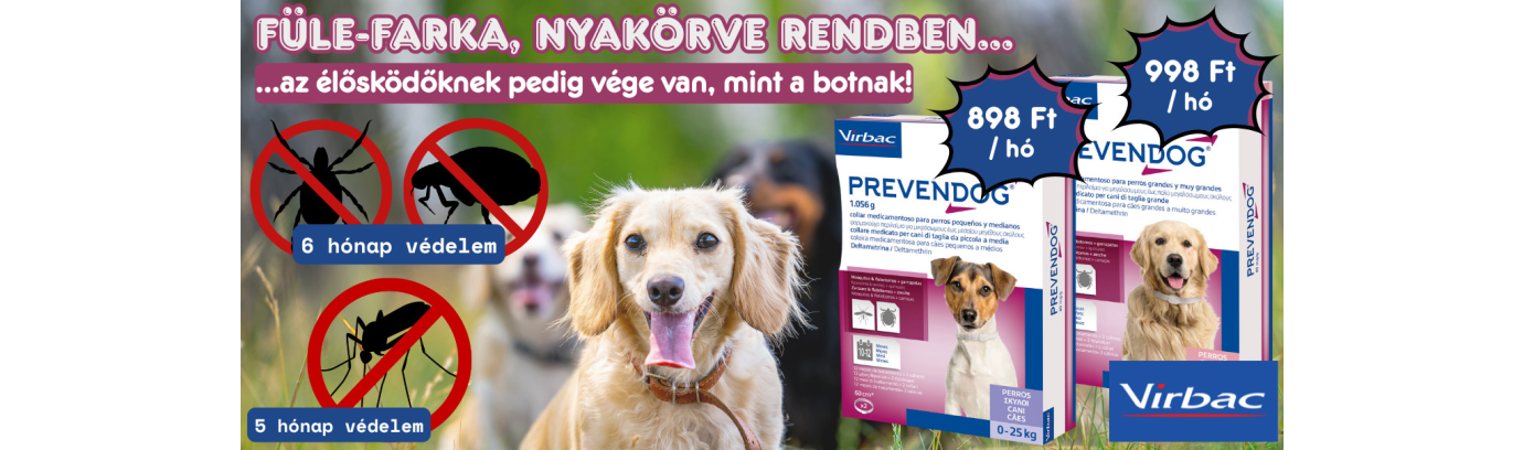 Szúnyog, kullancs, bolha? Nem ma!🙅🏻‍♀️ 6 hónap nyugi – egyetlen nyakörvvel