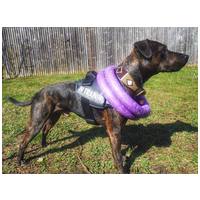 Puller fitnessz/ügyességfejlesztő karikák kutyáknak #4