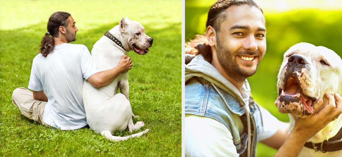 Argentin dog: a megtestesült erő hófehér köntösben - Alapinfók és érdekességek!