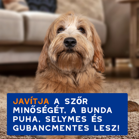 Douxo Spa gubancoldó sampon kutyáknak