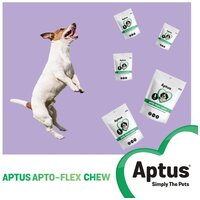 Aptus Apto-Flex Chew Mini glükozamint, MSM-et és kondroitin-t tartalmazó rágótabletta #3