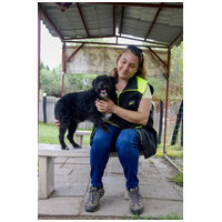 Gáspárka, 6 éves ivartalanított kan #2