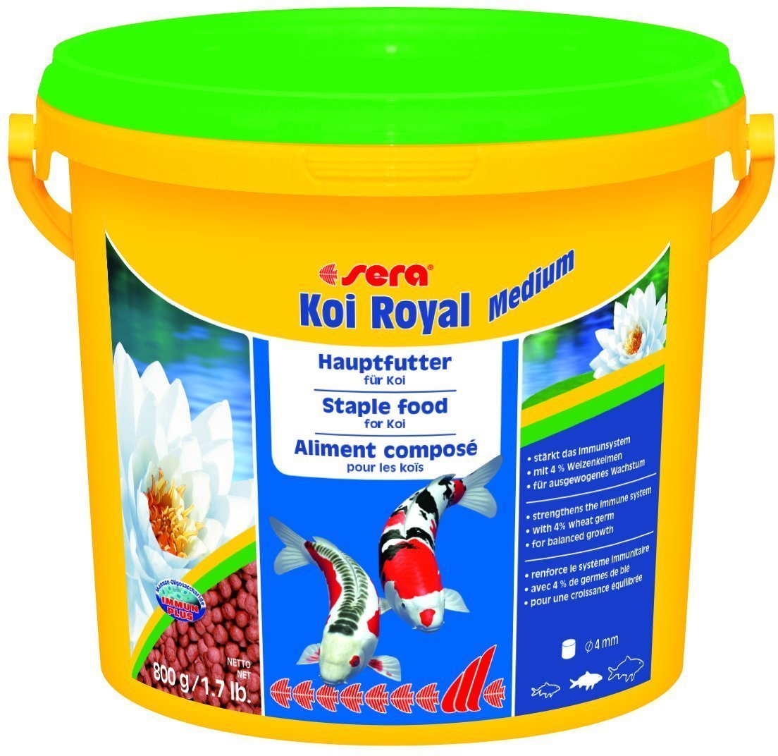 Sera Koi Royal Medium főeleség serdülő koi pontynak