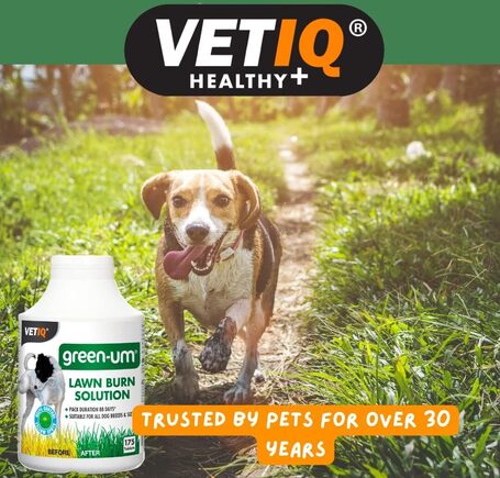 Vetiq Green-UM tabletta a zöld pázsitért