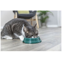 Trixie gumi talpas műanyag tál macskáknak #3